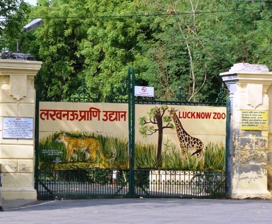 लखनऊ जू (Lucknow Zoo)