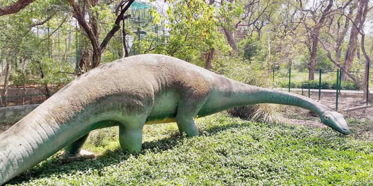 कानपुर जू (Allen Forest Zoo)